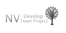 NV Develop Team Project